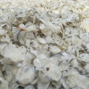 Fish Scales