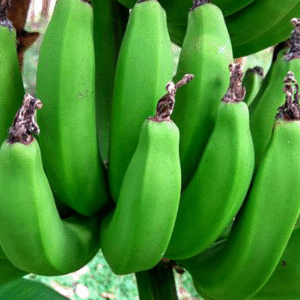 Green banana