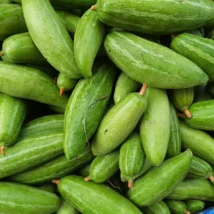 Pointed Gourd