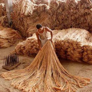 Raw Jute