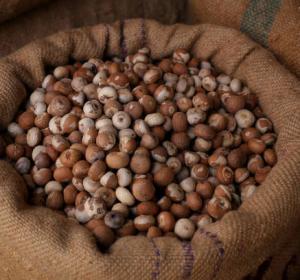 Areca Nut (Supari)