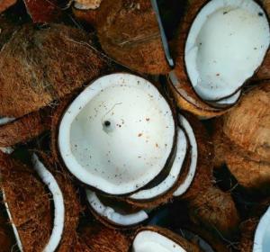 Coconut & Copra