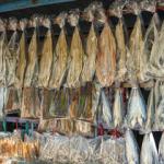 Dry Fish Varieties