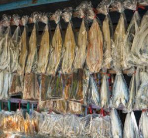 Dry Fish Varieties