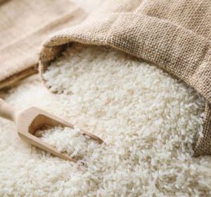 Rice - Chinigura and Kalijira
